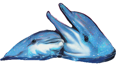 dauphins